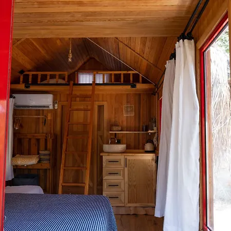 Geko Akbuk * Dagpinar