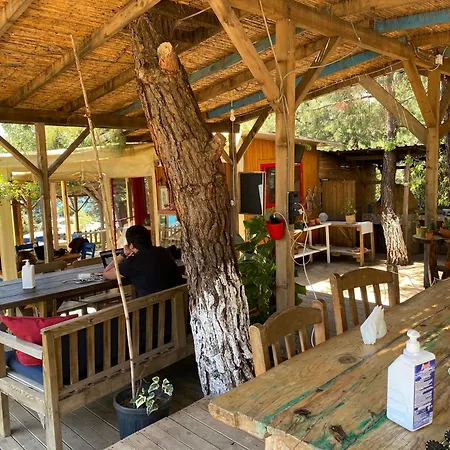 Geko Akbuk Hotel Dagpinar