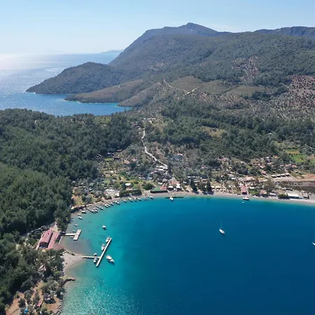 Geko Akbuk * Dagpinar