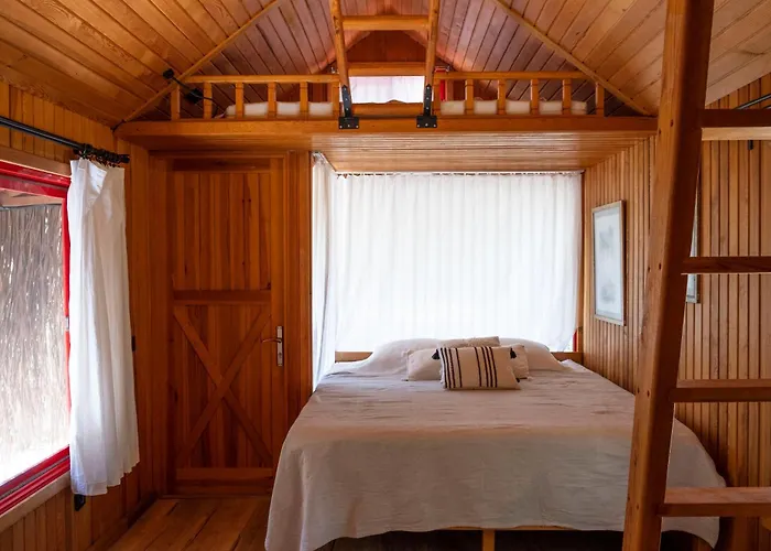 Geko Akbuk * Dagpinar