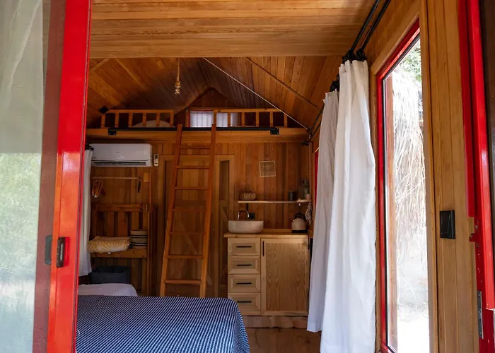 Geko Akbuk * Dagpinar