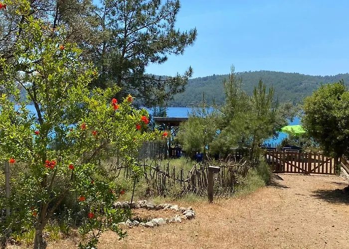 Geko Akbuk * Dagpinar