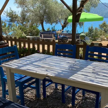 Geko Akbuk * Dagpinar