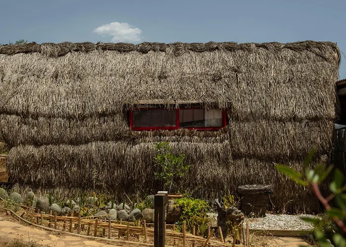 Geko Akbuk * Dagpinar