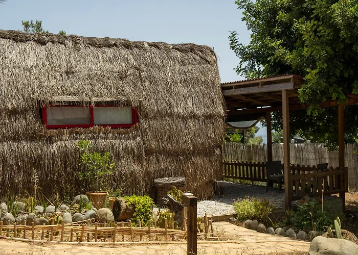 호텔 Geko Akbuk Dagpinar